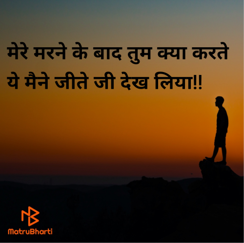 Post by VIBES on 30-May-2025 11:17pm