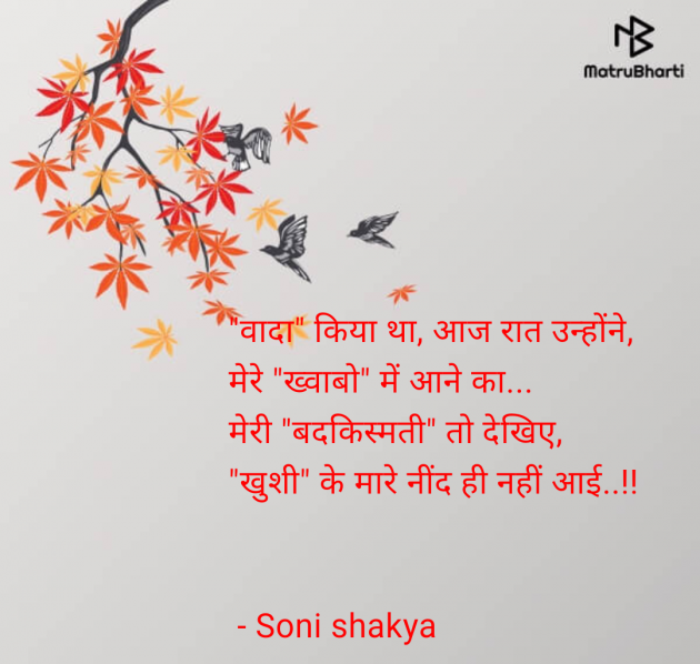 Hindi Blog by Soni shakya : 111982490