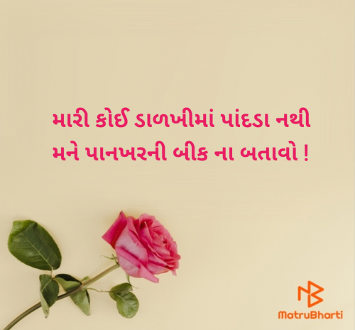Post by Nirali Patel on 11-Jun-2025 05:15pm