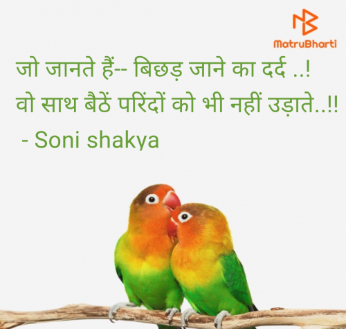 Post by Soni shakya on 13-Jun-2025 10:32am