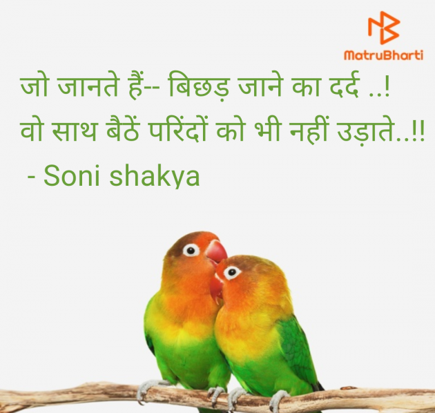 Hindi Blog by Soni shakya : 111982742
