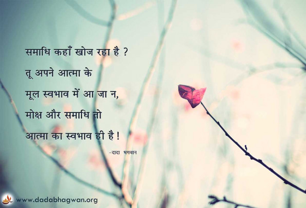 Hindi Whatsapp-Status by Dada Bhagwan : 111982744