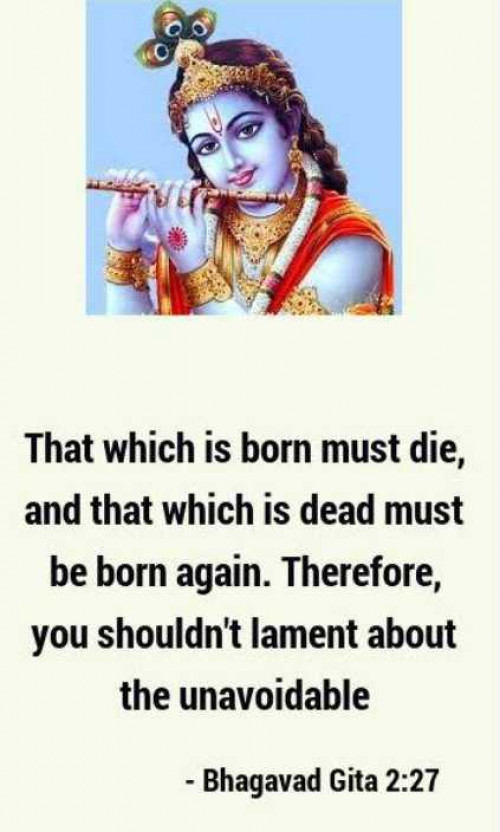 Post by Kridha Raguvanshi on 13-Jun-2025 08:28pm