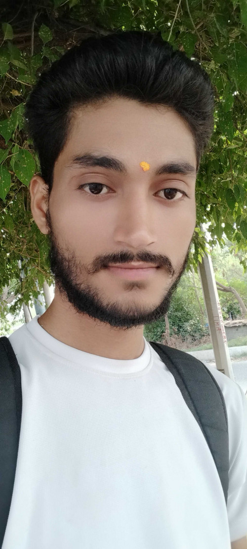 Post by parth Shukla on 13-Jun-2025 10:40pm