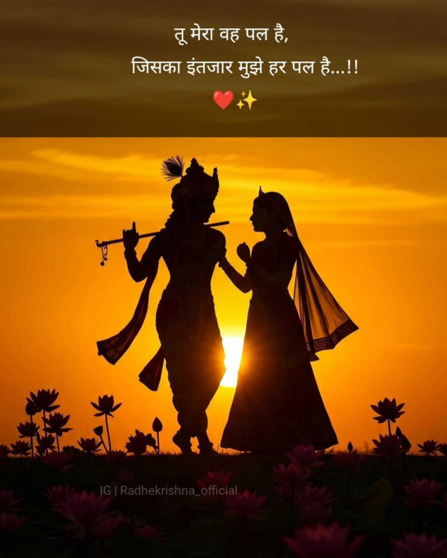 English Shayri by hiralba vala : 111983077