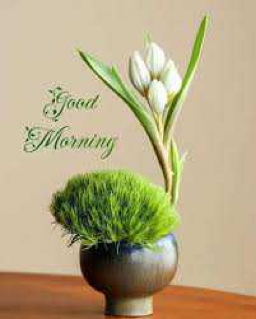 Post by kattupaya s on 16-Jun-2025 07:46am