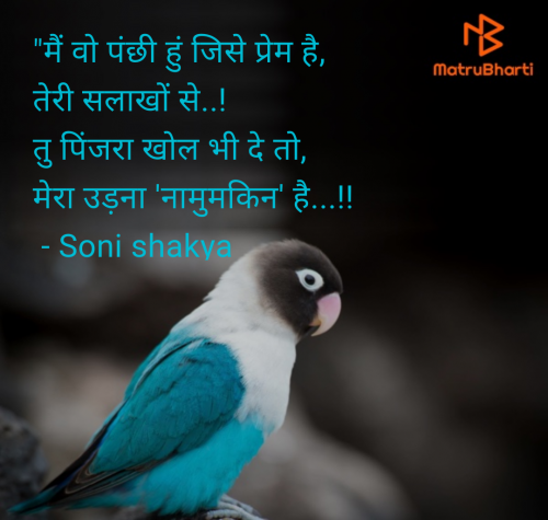 Post by Soni shakya on 16-Jun-2025 02:39pm
