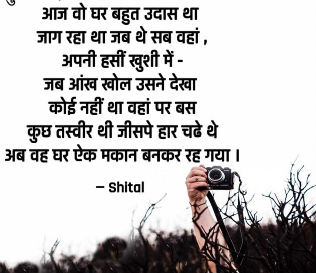 English Good Evening by Shital : 111983156
