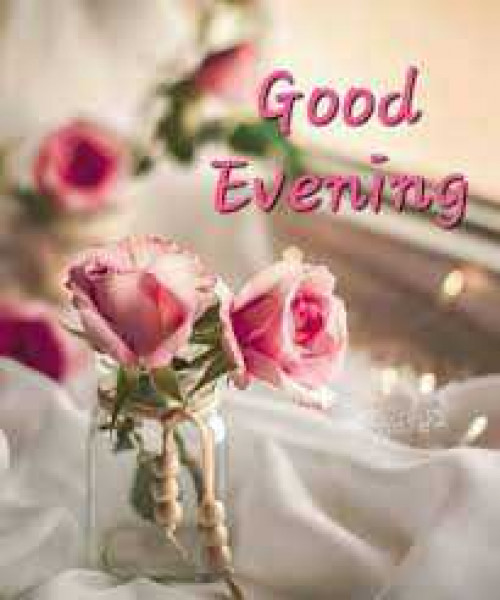 Post by kattupaya s on 17-Jun-2025 05:39pm