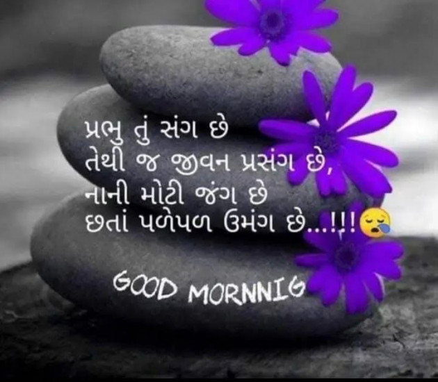 English Whatsapp-Status by shah : 111983403