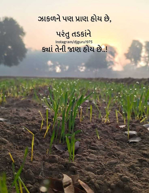 Gujarati Whatsapp-Status by તારા માટે લખુ છું.... : 111983442