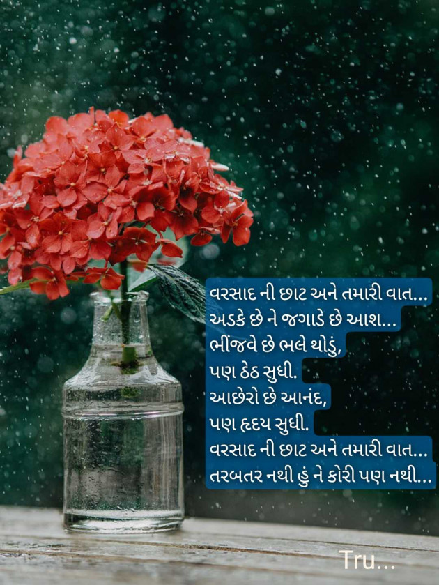 Gujarati Shayri by Tru... : 111983520