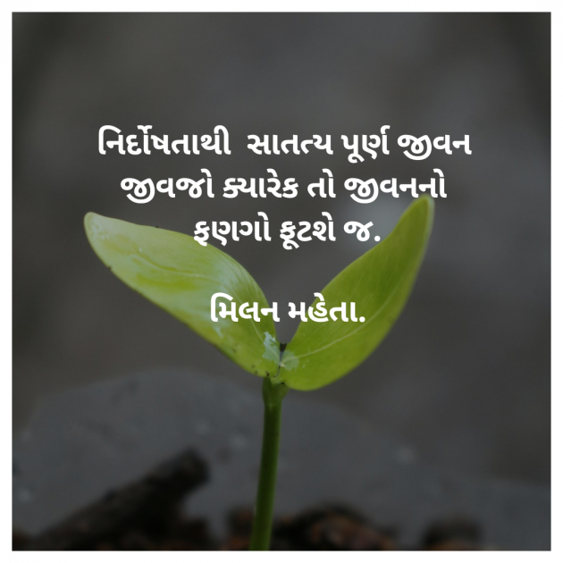 Gujarati Whatsapp-Status by Milan Mehta : 111983558