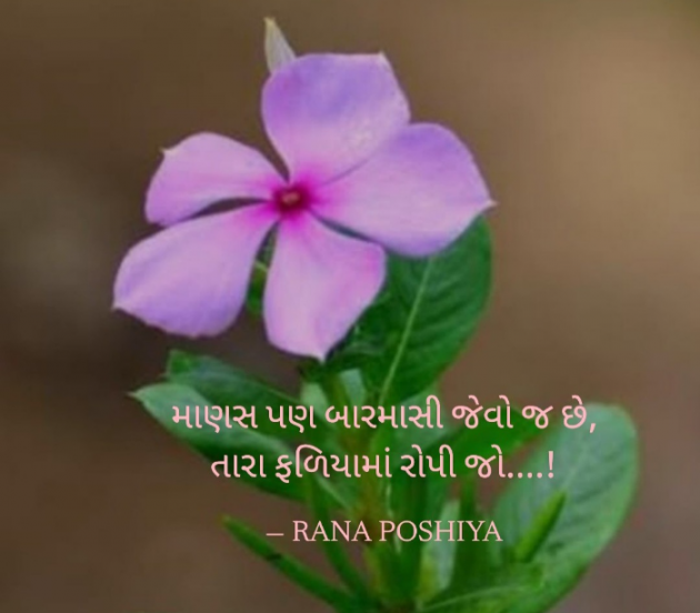 Gujarati Thought by R G POSHIYA : 111983583