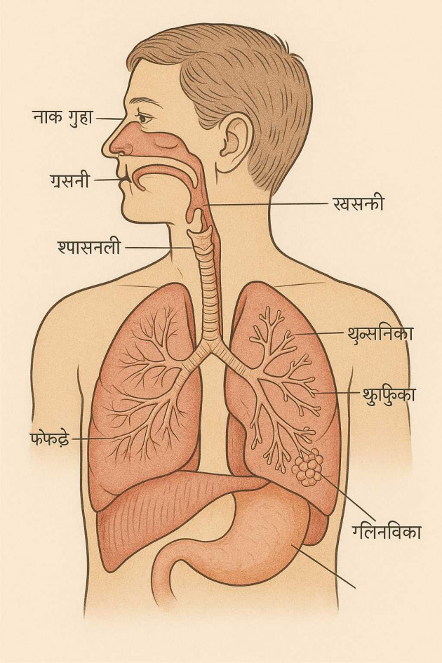 Hindi Questions by chandu : 111983727