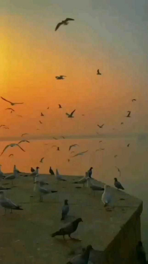 Post by Mannu on 23-Jun-2025 08:53am
