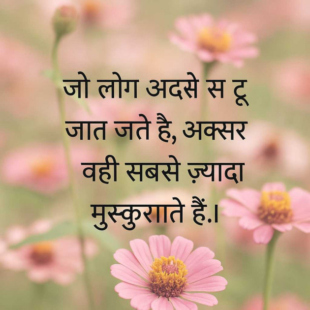Hindi Shayri by chandu : 111984156