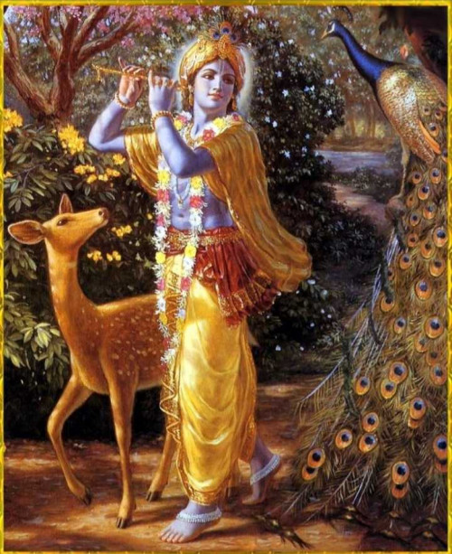 Post by Radhey Shreemali on 25-Jun-2025 03:18pm