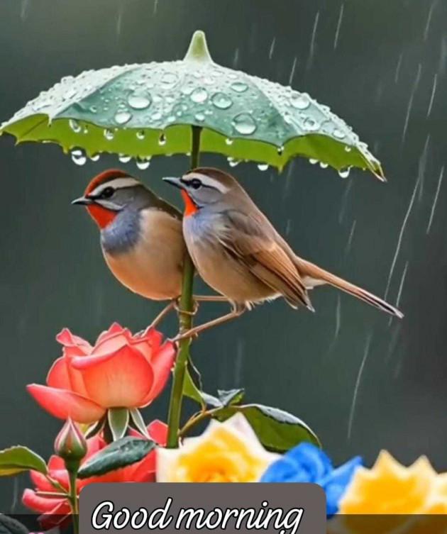 Hindi Shayri by Manoj kumar shukla : 111984400