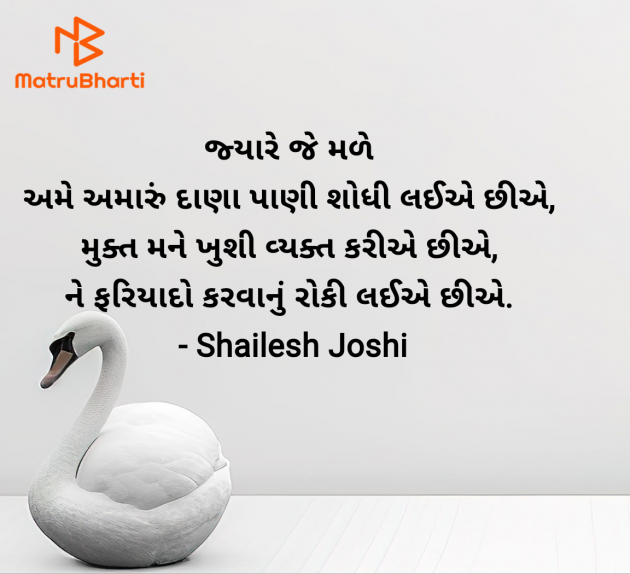 Gujarati Thought by Shailesh Joshi : 111984469