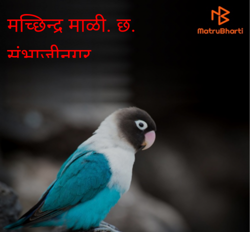 Post by मच्छिंद्र माळी on 28-Jun-2025 09:58pm