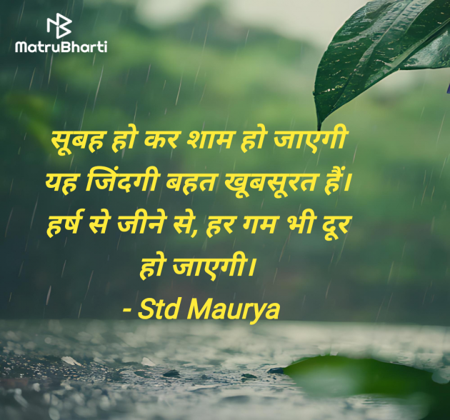 Hindi Quotes by Std Maurya : 111984900