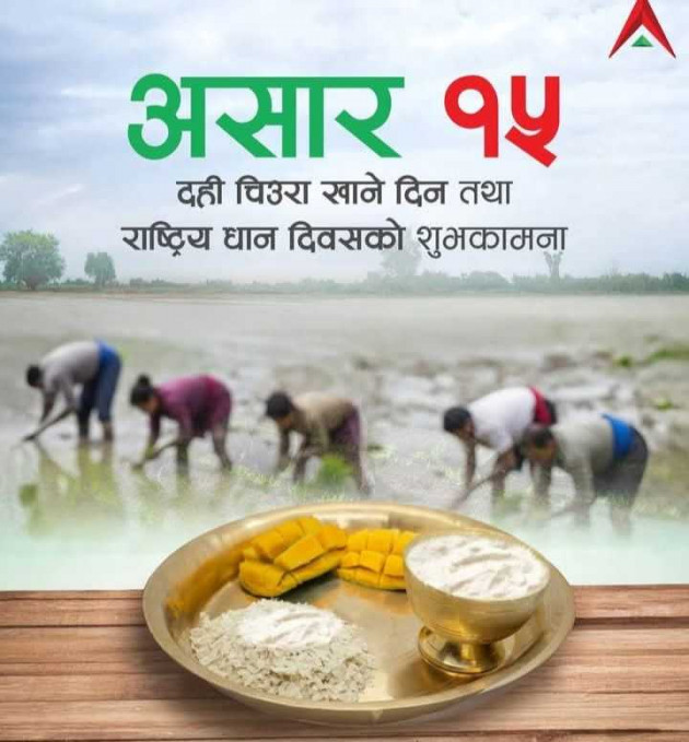 Hindi Poem by Raju kumar Chaudhary : 111985009