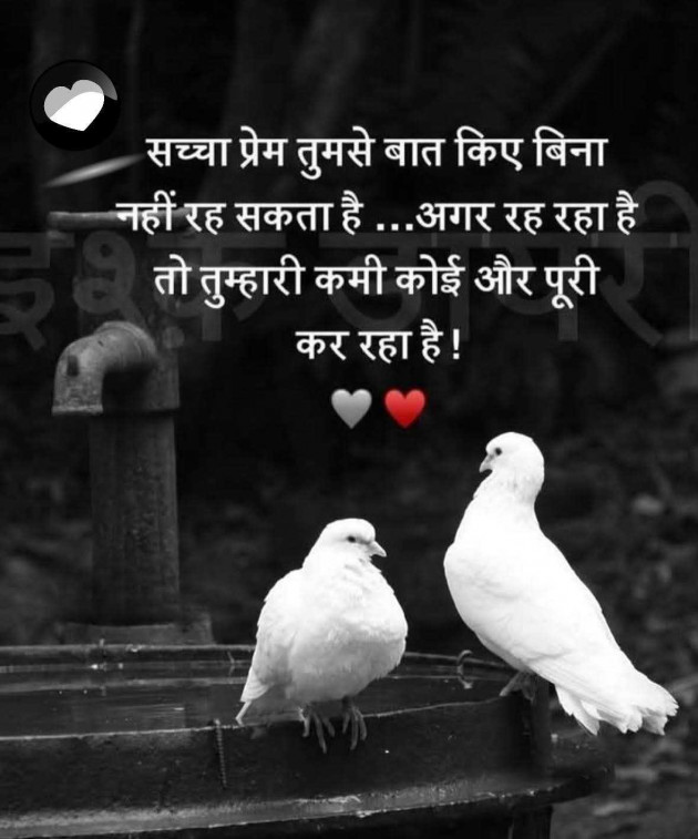 Gujarati Quotes by broken heart : 111985072