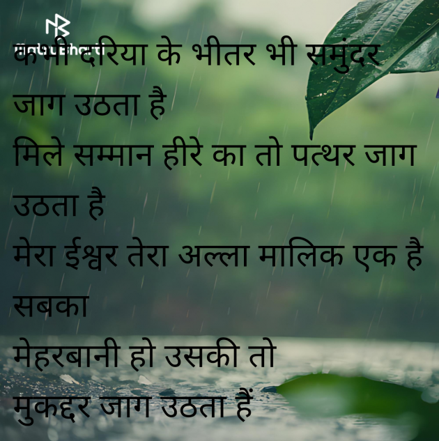 Hindi Shayri by Sunita bhardwaj : 111985019