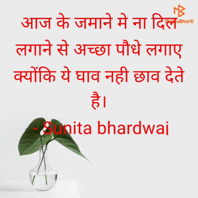 Hindi Quotes by Sunita bhardwaj : 111985229