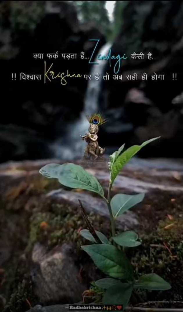 Hindi Shayri by Sunita bhardwaj : 111985322
