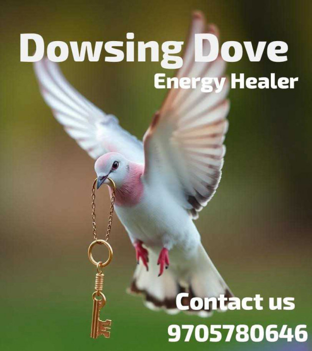 English Blog by Bk swan and lotus translators : 111985395