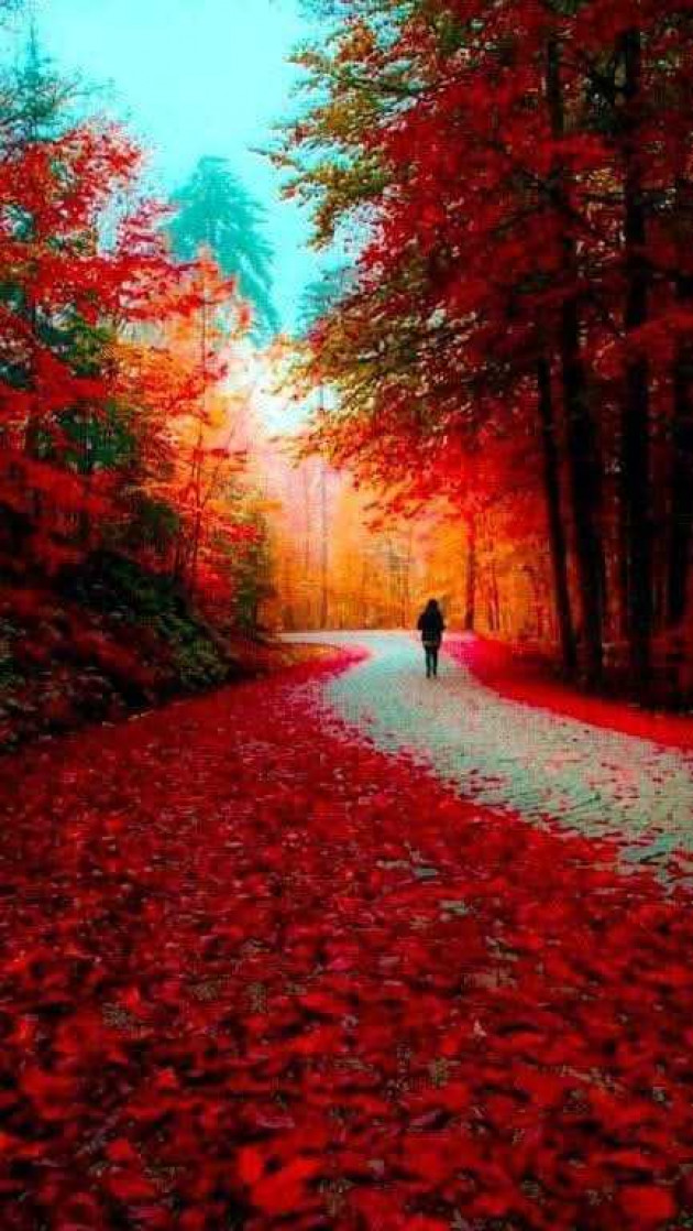 Hindi Shayri by DrAnamika : 111985424