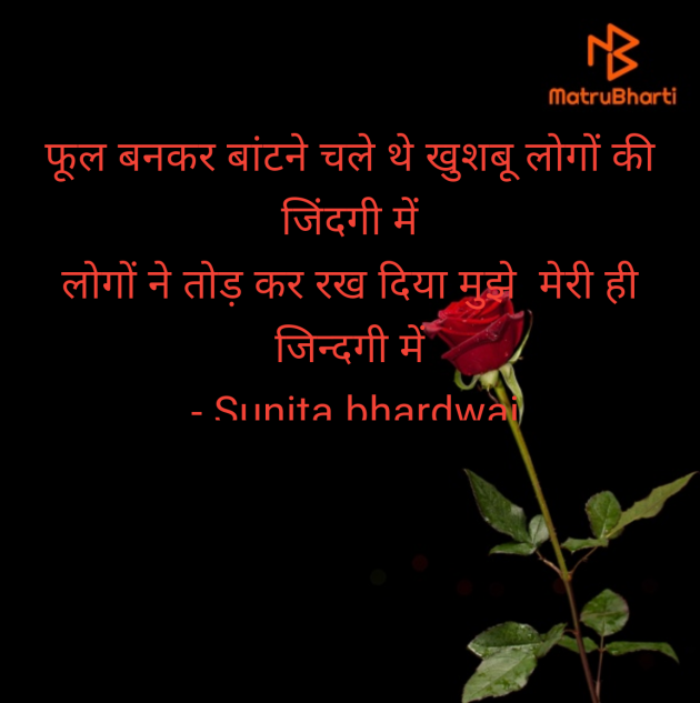 Hindi Shayri by Sunita bhardwaj : 111985534