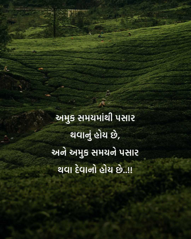 Gujarati Motivational by Manish Patel : 111985577