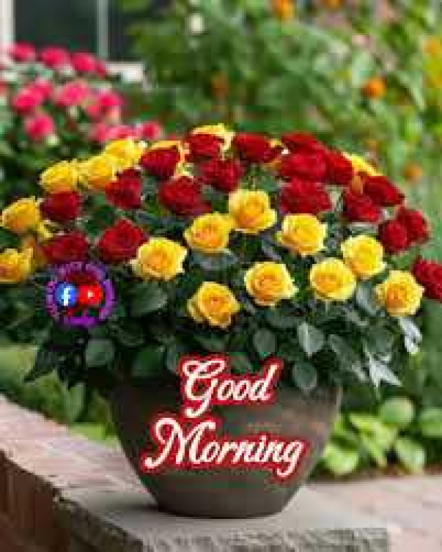 English Good Morning by kattupaya s : 111985825