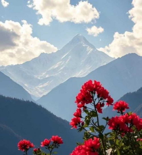 Post by Raju kumar Chaudhary on 06-Jul-2025 09:24am
