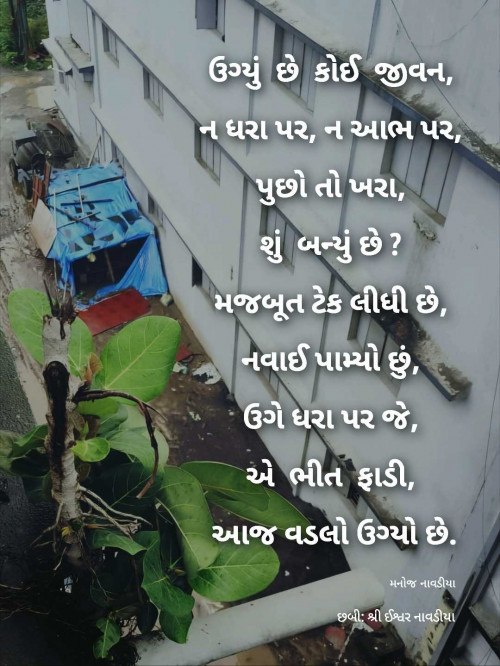 Post by મનોજ નાવડીયા on 07-Jul-2025 09:49pm