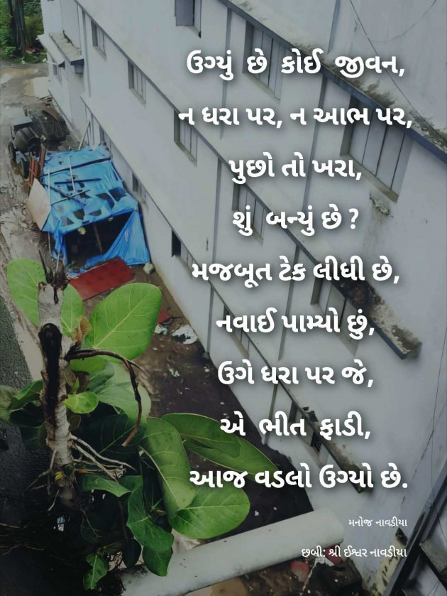 Gujarati Poem by મનોજ નાવડીયા : 111986077