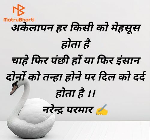 Post by Narendra Parmar on 07-Jul-2025 11:18pm