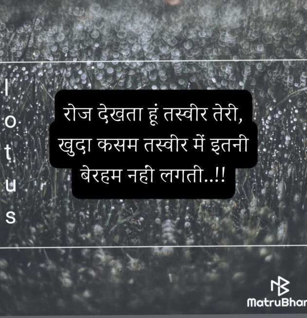 English Quotes by LOTUS : 111986091