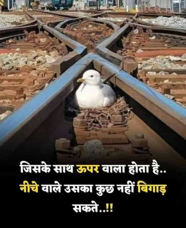 Gujarati Motivational by N¡k¡t@ : 111986126