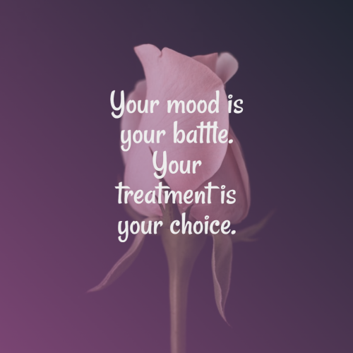 Post by Nensi Vithalani on 08-Jul-2025 05:12pm
