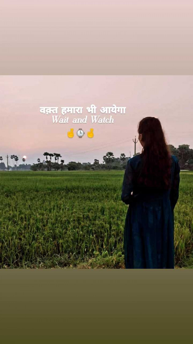 Hindi Whatsapp-Status by Aanchal Roy : 111986393