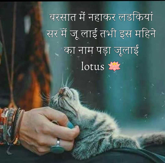 English Quotes by LOTUS : 111986830