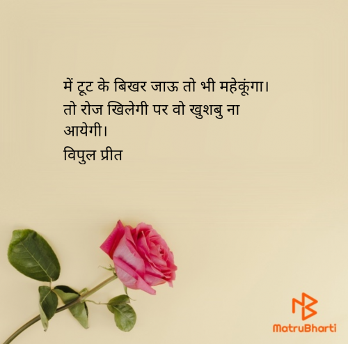 Post by Vipul Borisa on 12-Jul-2025 09:55pm