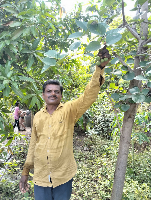 Post by Manjibhai Bavaliya મનરવ on 13-Jul-2025 09:02am