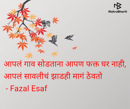 Post by Fazal Esaf on 14-Jul-2025 10:47pm