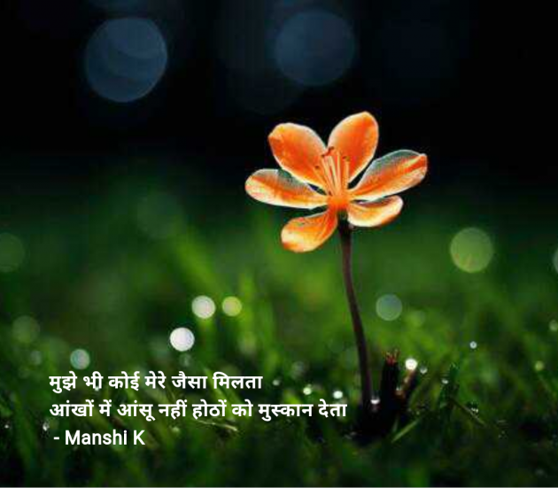 Hindi Quotes by Manshi K : 111987244