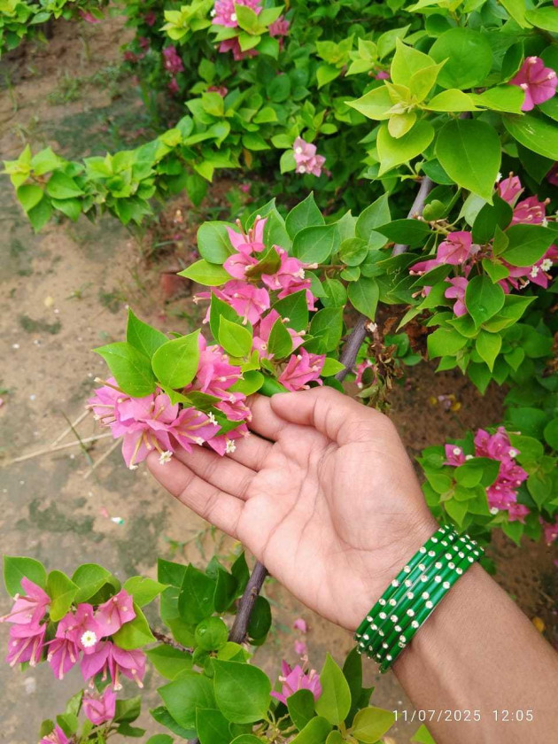 Hindi Shayri by Bitu : 111987334